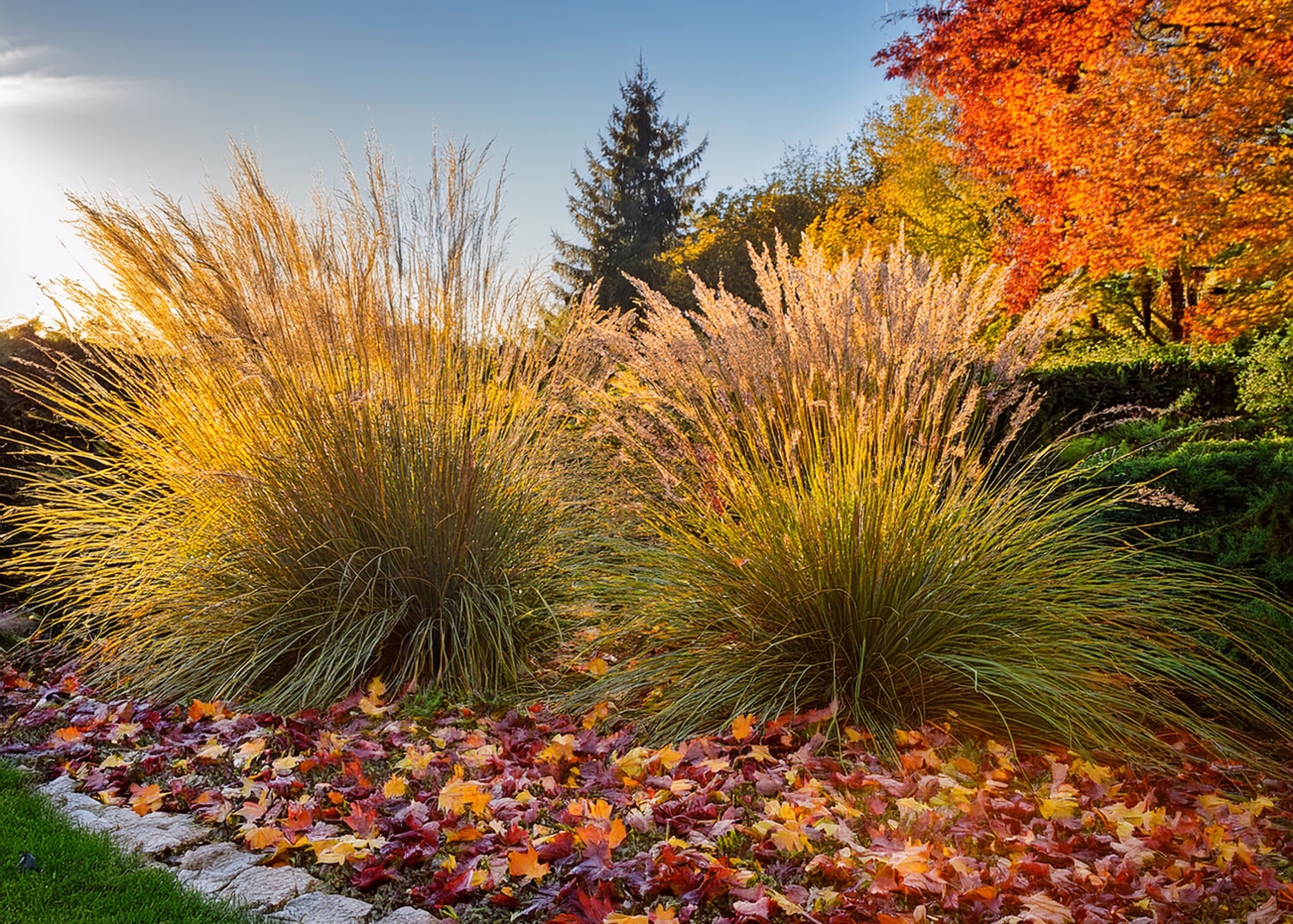 Leaf Litter Habitat
