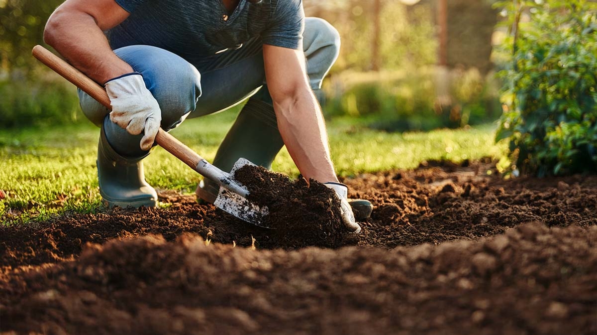 Gardening