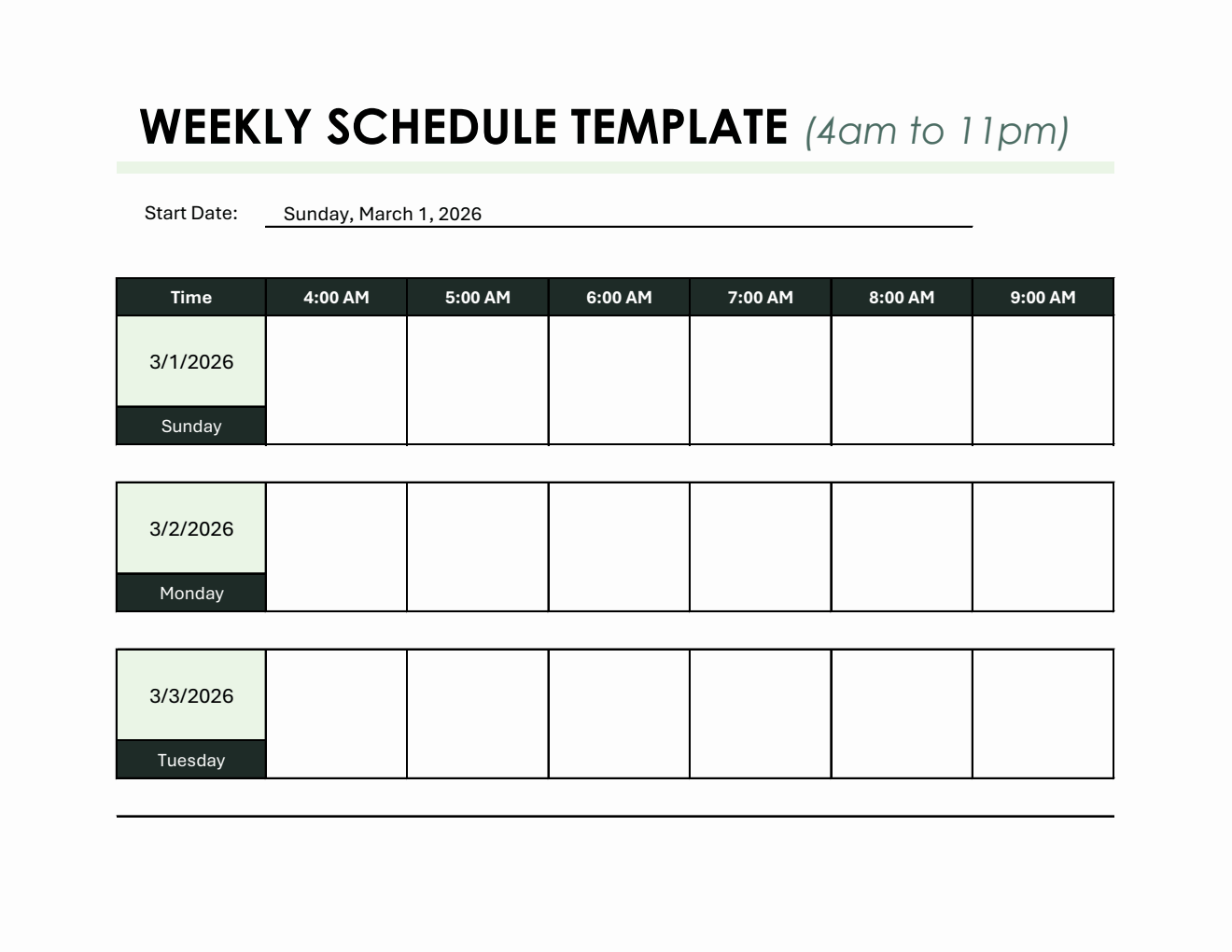 Customizable Weekly Hourly Schedule Template in Excel