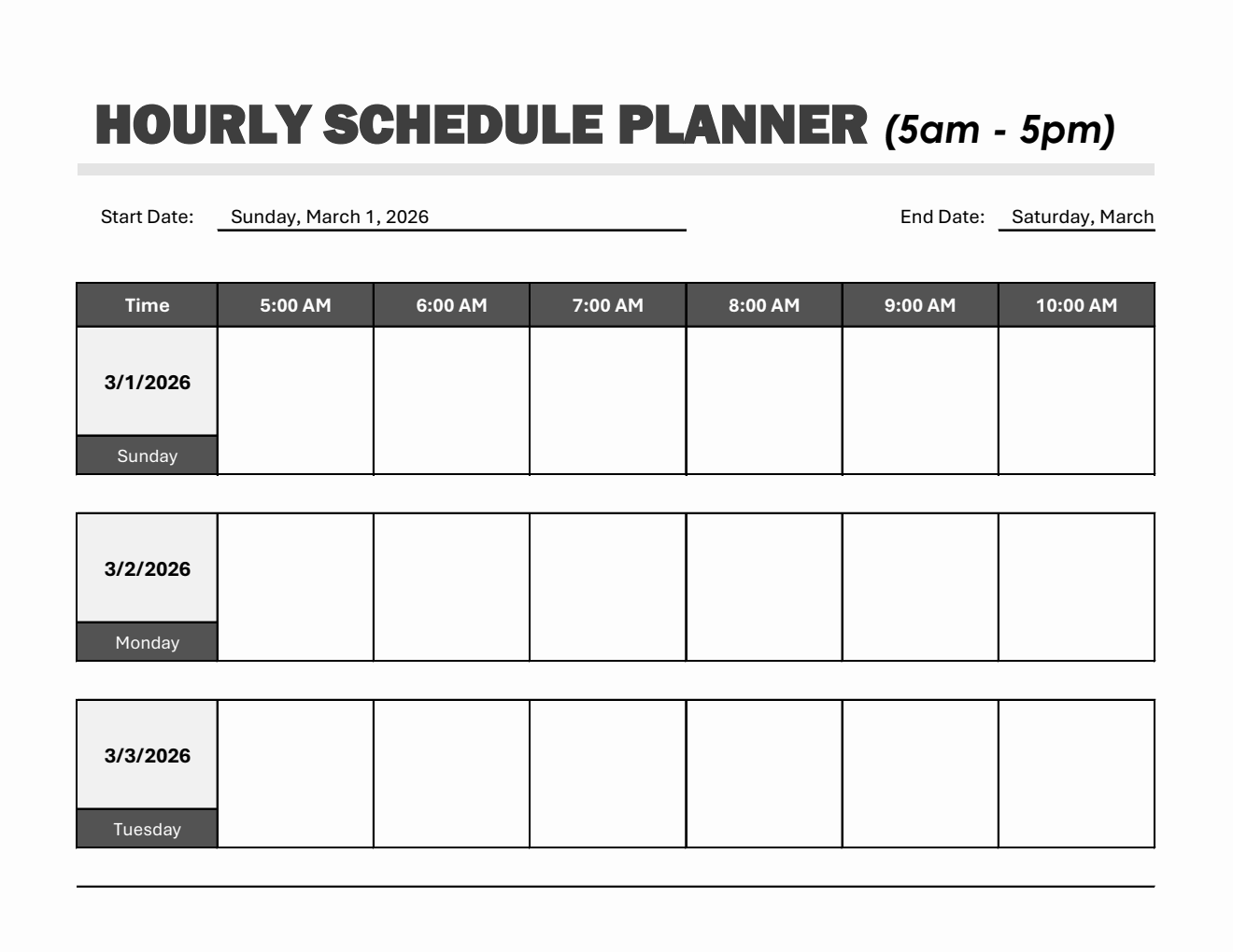 Fillable Weekly Hourly Schedule Template in Excel